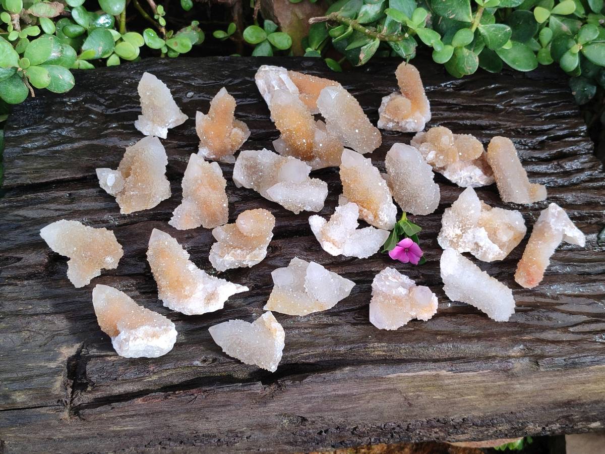 Natural Golden Limonite Coated Spirit Quartz Clusters x 35 From Boekenhouthoek, South Africa - Toprock Gemstones and Minerals 
