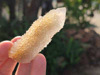Natural Golden Limonite Coated Spirit Quartz Clusters x 35 From Boekenhouthoek, South Africa