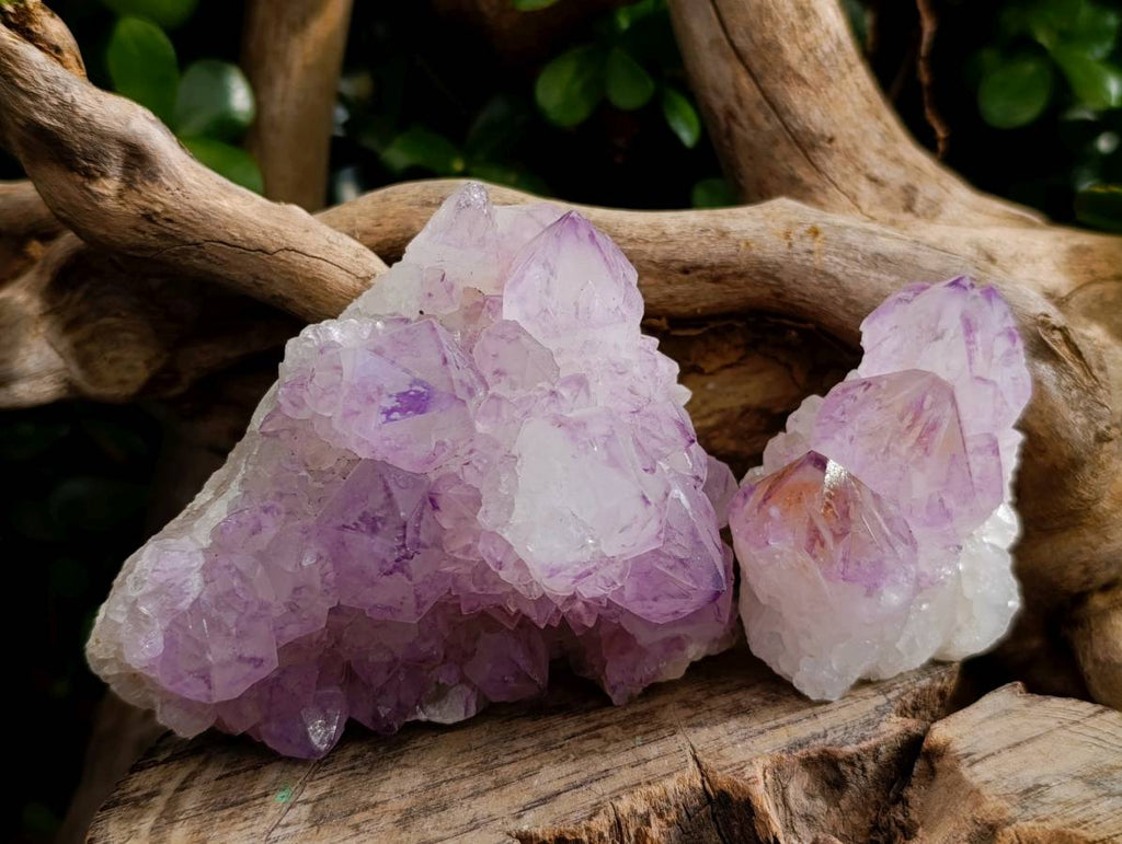 Natural Amethyst Spirit Quartz Clusters x 6 From Boekenhouthoek, South Africa - Toprock Gemstones and Minerals 