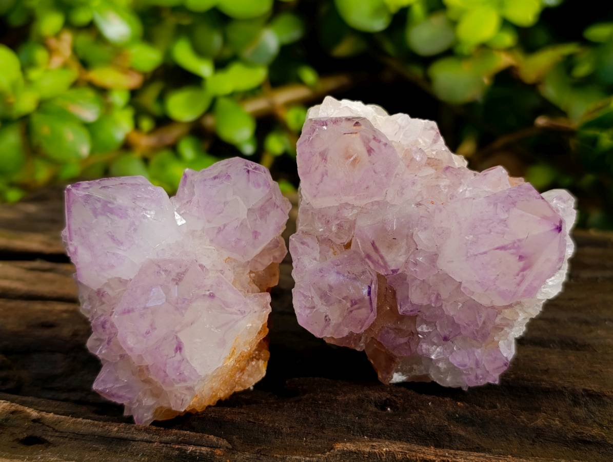 Natural Amethyst Spirit Quartz Clusters x 6 From Boekenhouthoek, South Africa - Toprock Gemstones and Minerals 