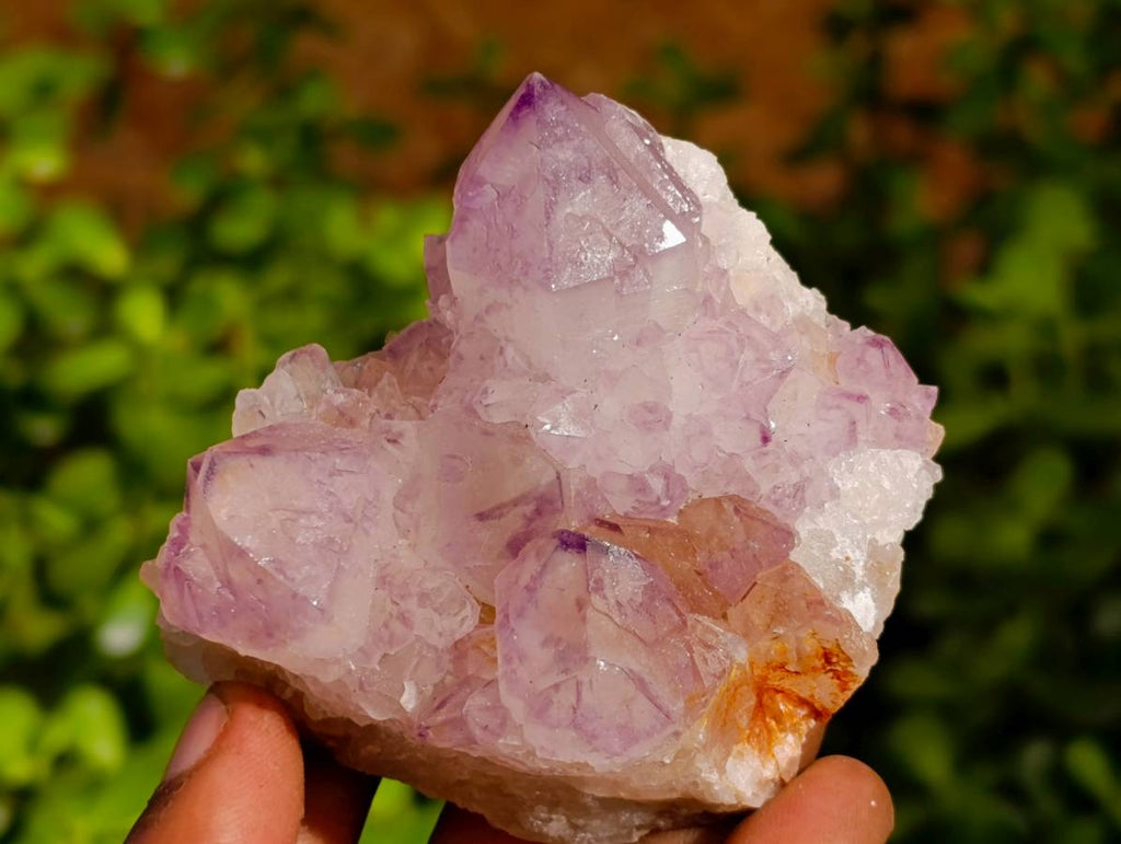 Natural Amethyst Spirit Quartz Clusters x 6 From Boekenhouthoek, South Africa - Toprock Gemstones and Minerals 