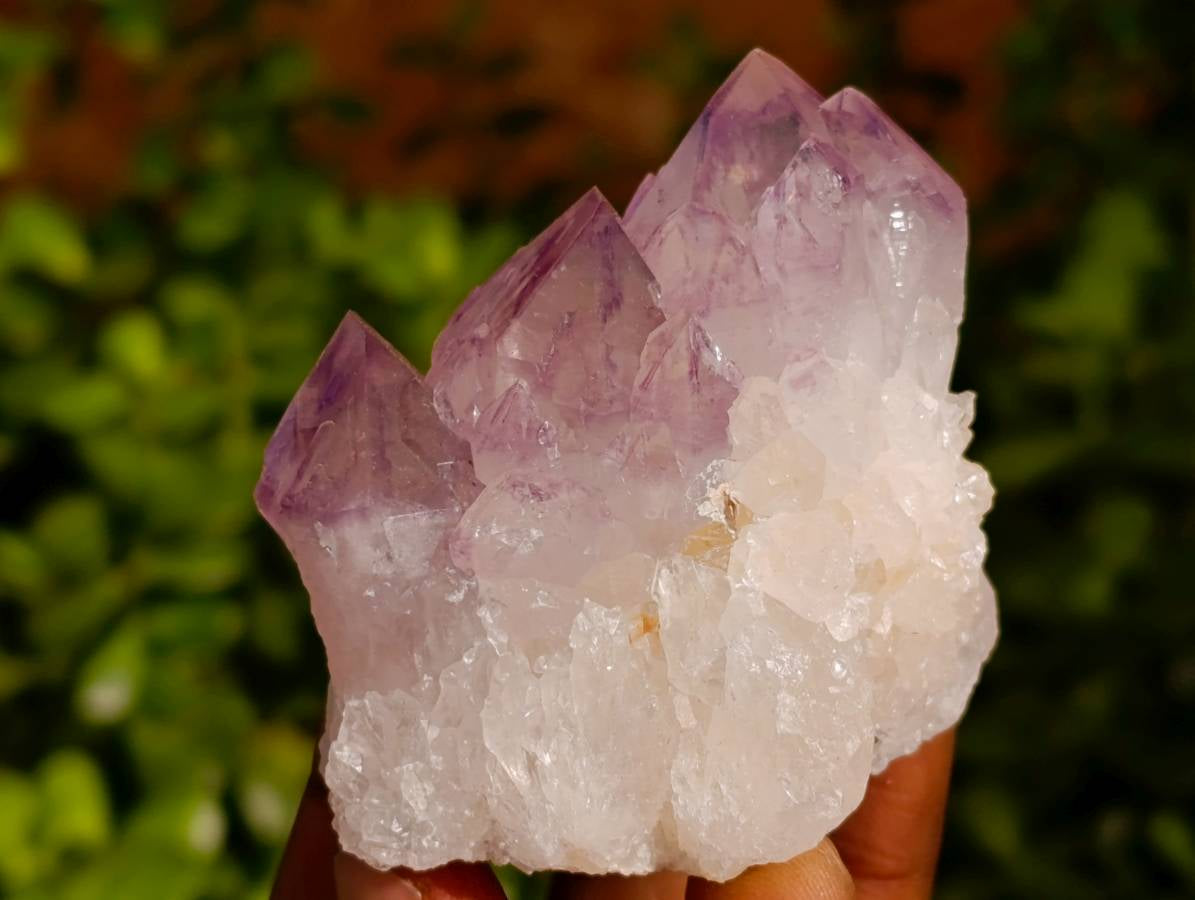 Natural Amethyst Spirit Quartz Clusters x 6 From Boekenhouthoek, South Africa - Toprock Gemstones and Minerals 