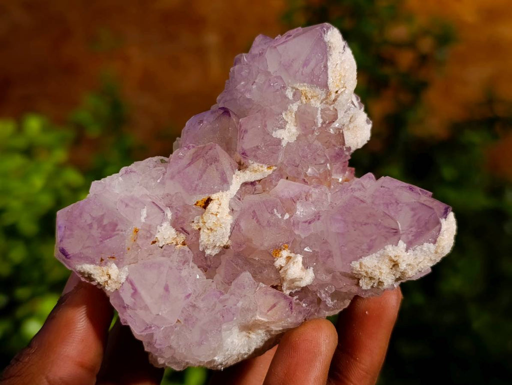 Natural Amethyst Spirit Quartz Clusters x 6 From Boekenhouthoek, South Africa - Toprock Gemstones and Minerals 