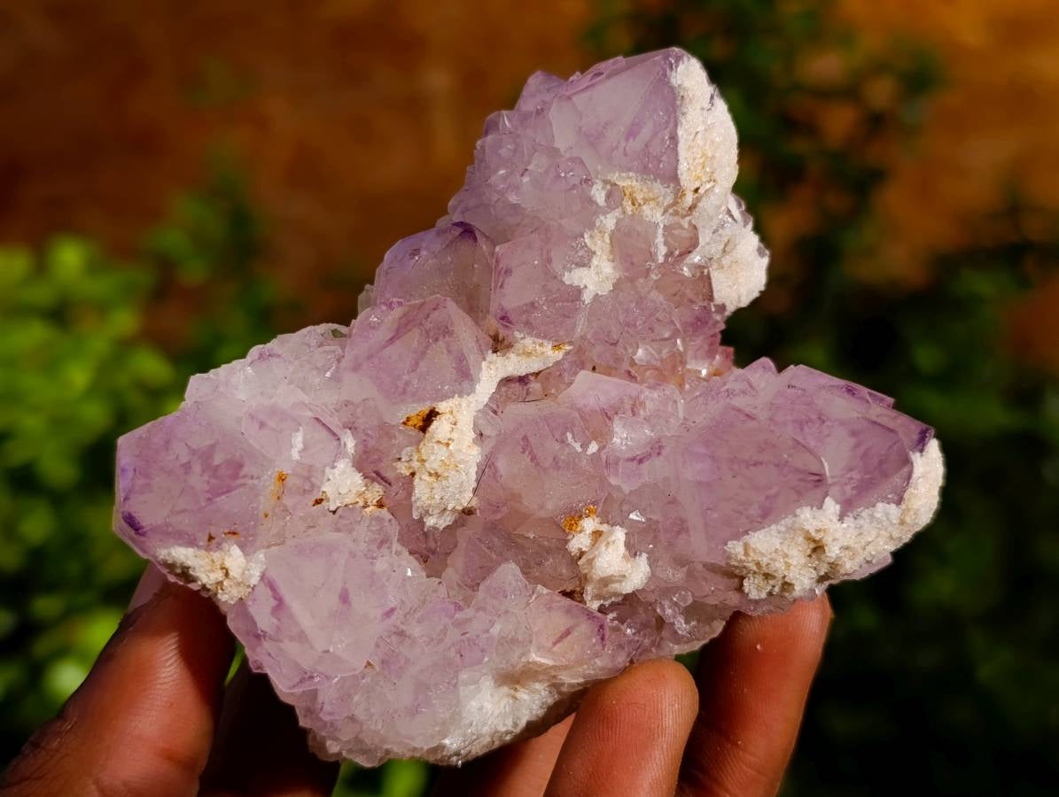Natural Amethyst Spirit Quartz Clusters x 6 From Boekenhouthoek, South Africa - Toprock Gemstones and Minerals 