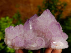 Natural Amethyst Spirit Quartz Clusters x 6 From Boekenhouthoek, South Africa - Toprock Gemstones and Minerals 