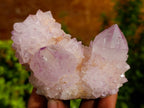 Natural Amethyst Spirit Quartz Clusters x 6 From Boekenhouthoek, South Africa - Toprock Gemstones and Minerals 