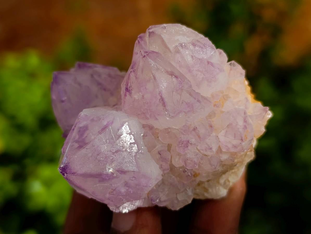 Natural Amethyst Spirit Quartz Clusters x 6 From Boekenhouthoek, South Africa - Toprock Gemstones and Minerals 