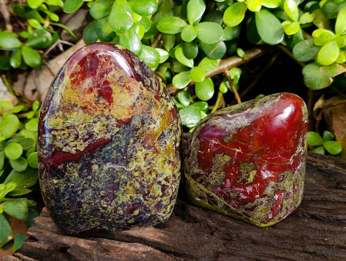 Polished Bastite Dragons Blood Stone Standing Free Forms x 2 From Tshipise, South Africa - Toprock Gemstones and Minerals 