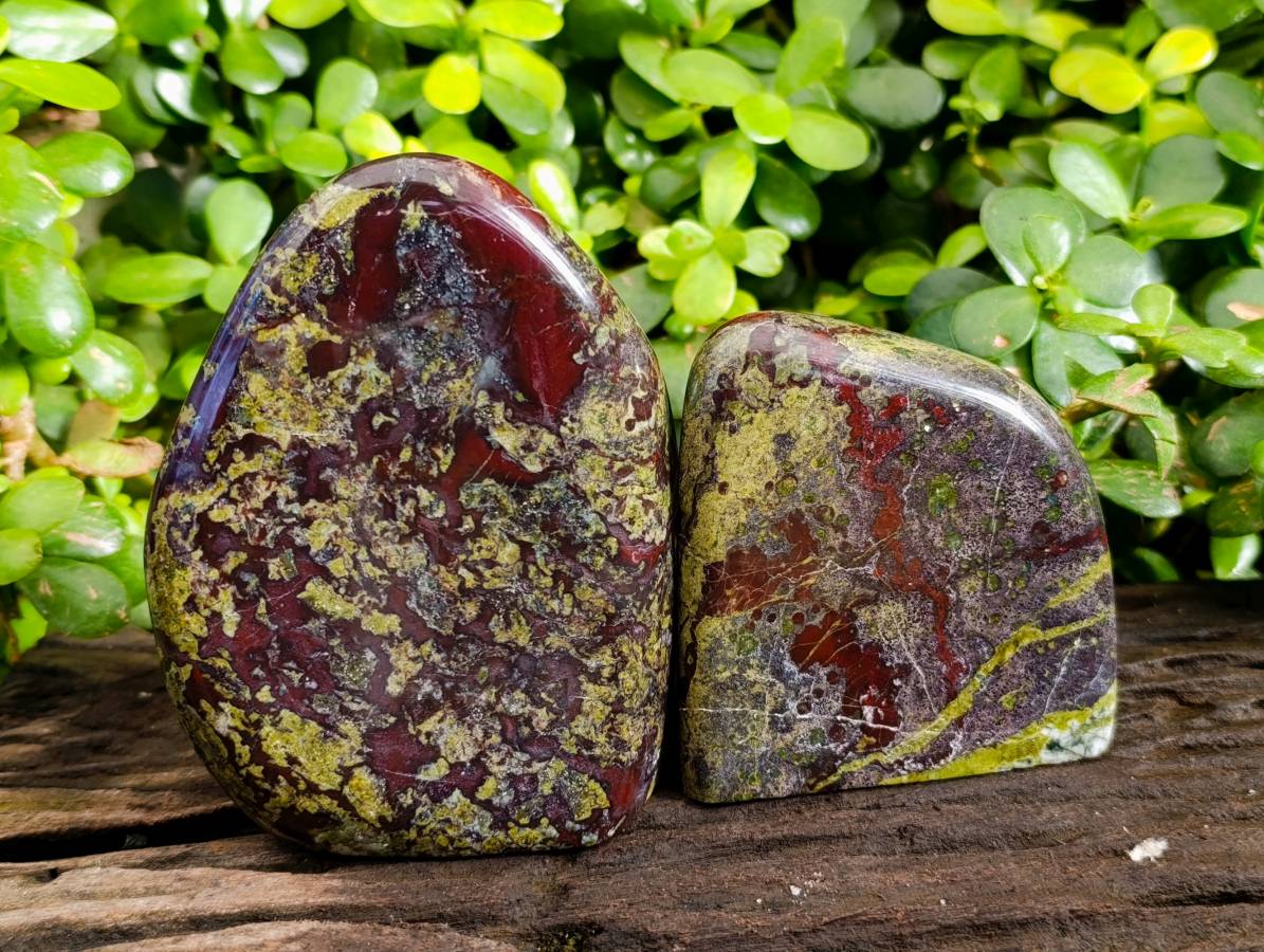 Polished Bastite Dragons Blood Stone Standing Free Forms x 2 From Tshipise, South Africa - Toprock Gemstones and Minerals 