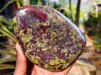 Polished Bastite Dragons Blood Stone Standing Free Forms x 2 From Tshipise, South Africa - Toprock Gemstones and Minerals 