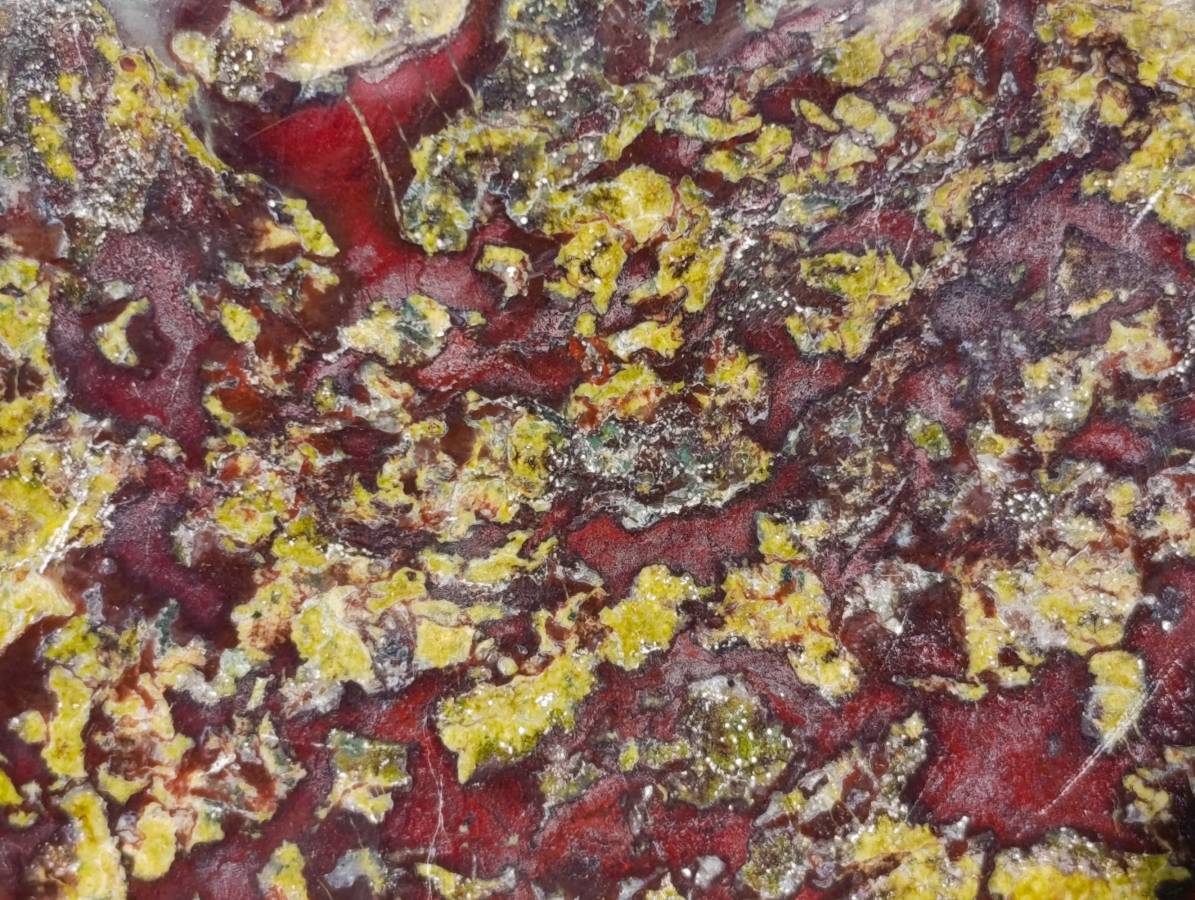 Polished Bastite Dragons Blood Stone Standing Free Forms x 2 From Tshipise, South Africa - Toprock Gemstones and Minerals 