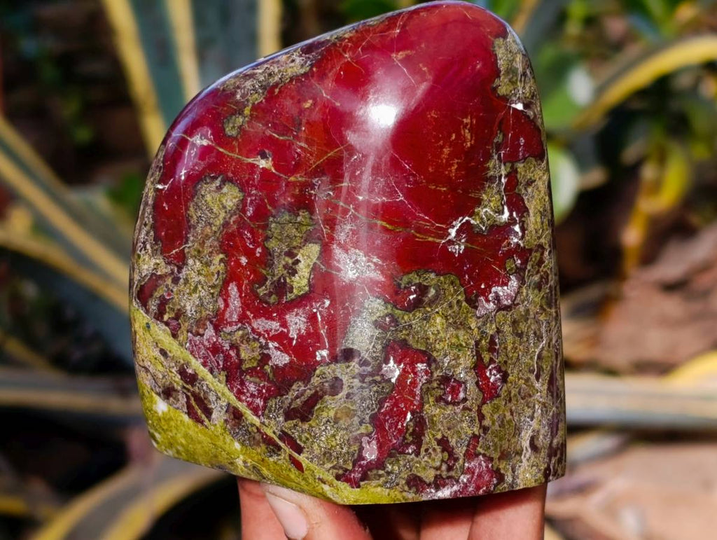 Polished Bastite Dragons Blood Stone Standing Free Forms x 2 From Tshipise, South Africa - Toprock Gemstones and Minerals 