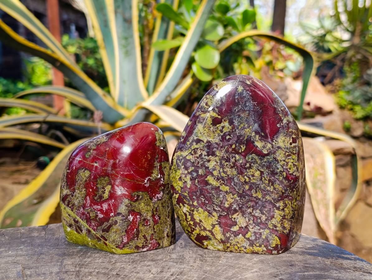 Polished Bastite Dragons Blood Stone Standing Free Forms x 2 From Tshipise, South Africa - Toprock Gemstones and Minerals 