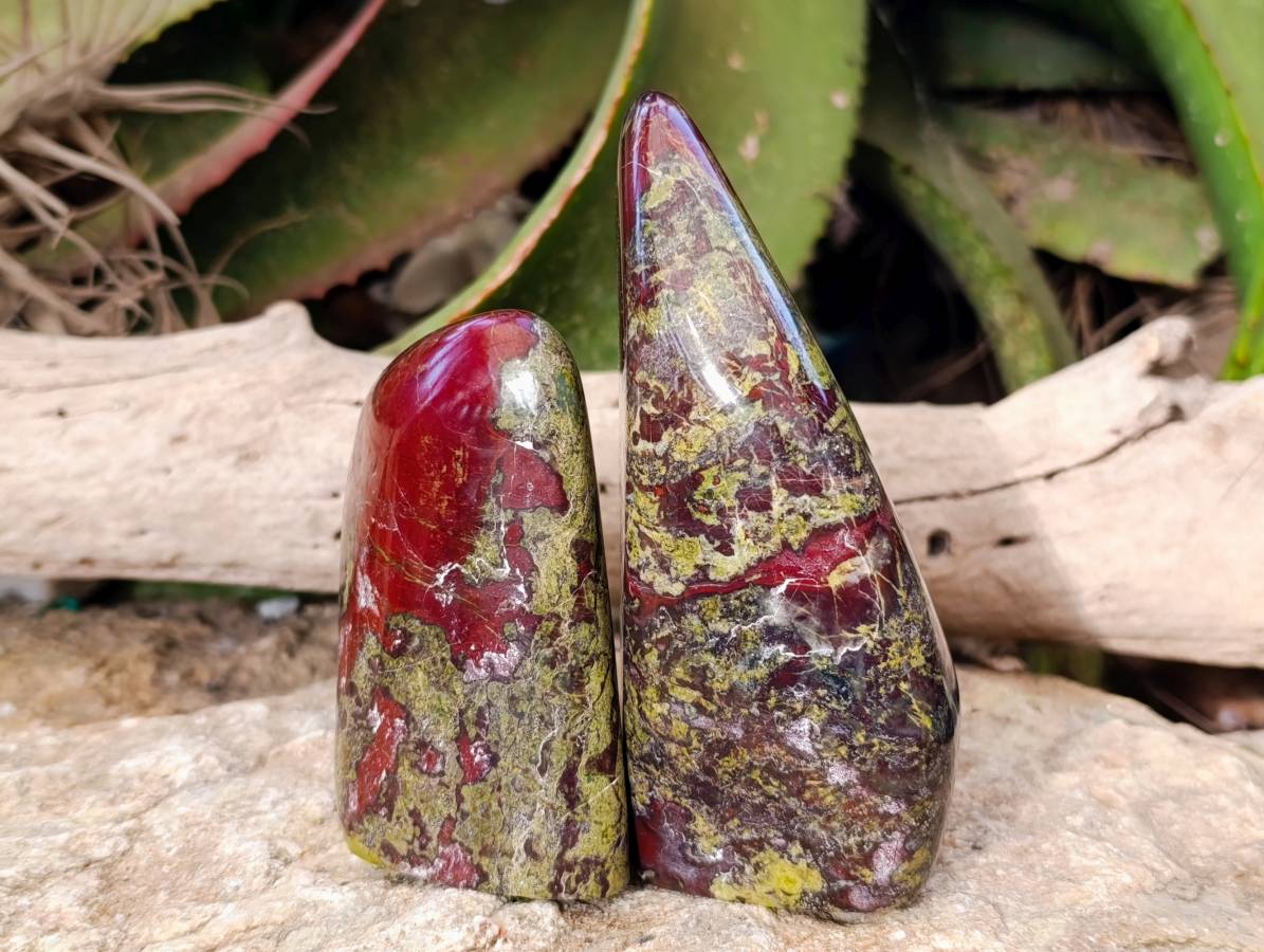 Polished Bastite Dragons Blood Stone Standing Free Forms x 2 From Tshipise, South Africa - Toprock Gemstones and Minerals 