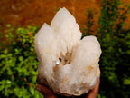 Natural Quartz Clusters x 2 From Madagascar - Toprock Gemstones and Minerals 