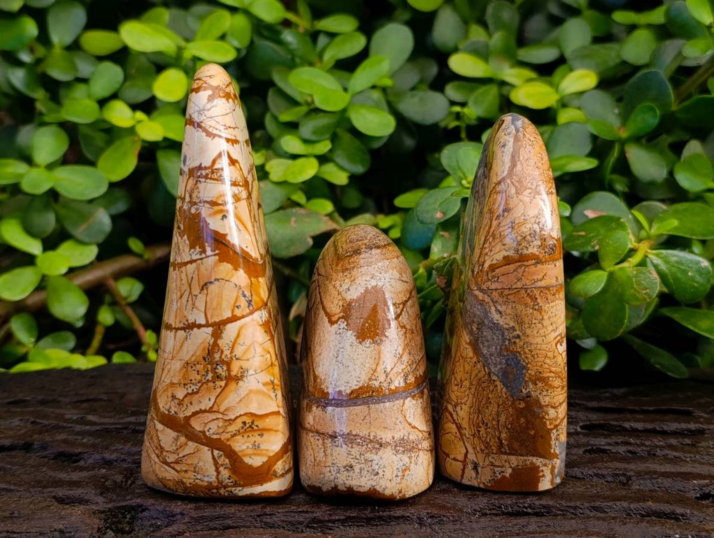 Polished Picture Stone Jasper Standing Free Forms x 3 From Northwest Coast, Madagascar - Toprock Gemstones and Minerals 