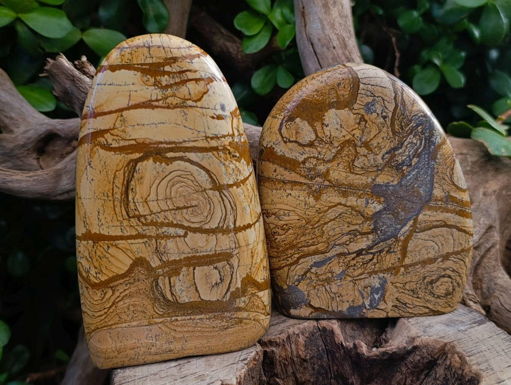 Polished Picture Stone Jasper Standing Free Forms x 3 From Northwest Coast, Madagascar - Toprock Gemstones and Minerals 