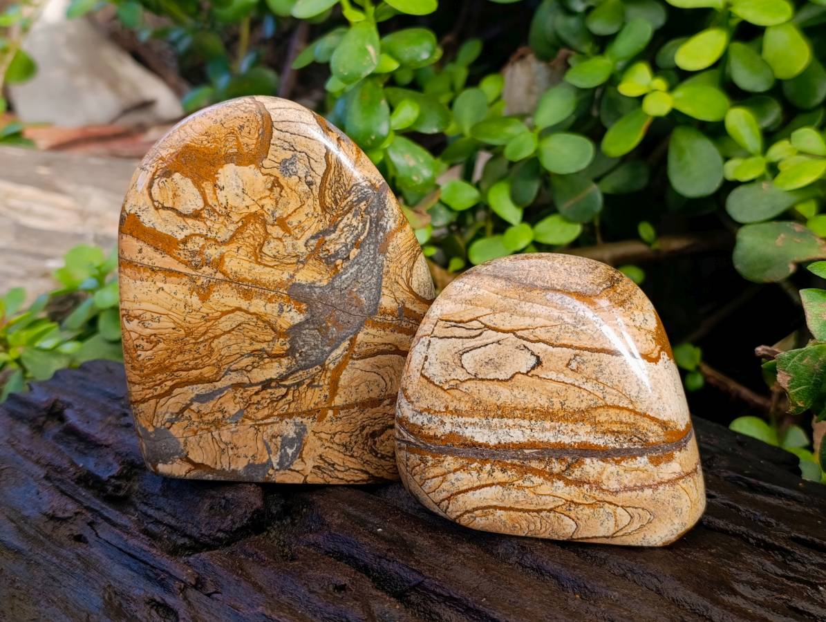 Polished Picture Stone Jasper Standing Free Forms x 3 From Northwest Coast, Madagascar - Toprock Gemstones and Minerals 