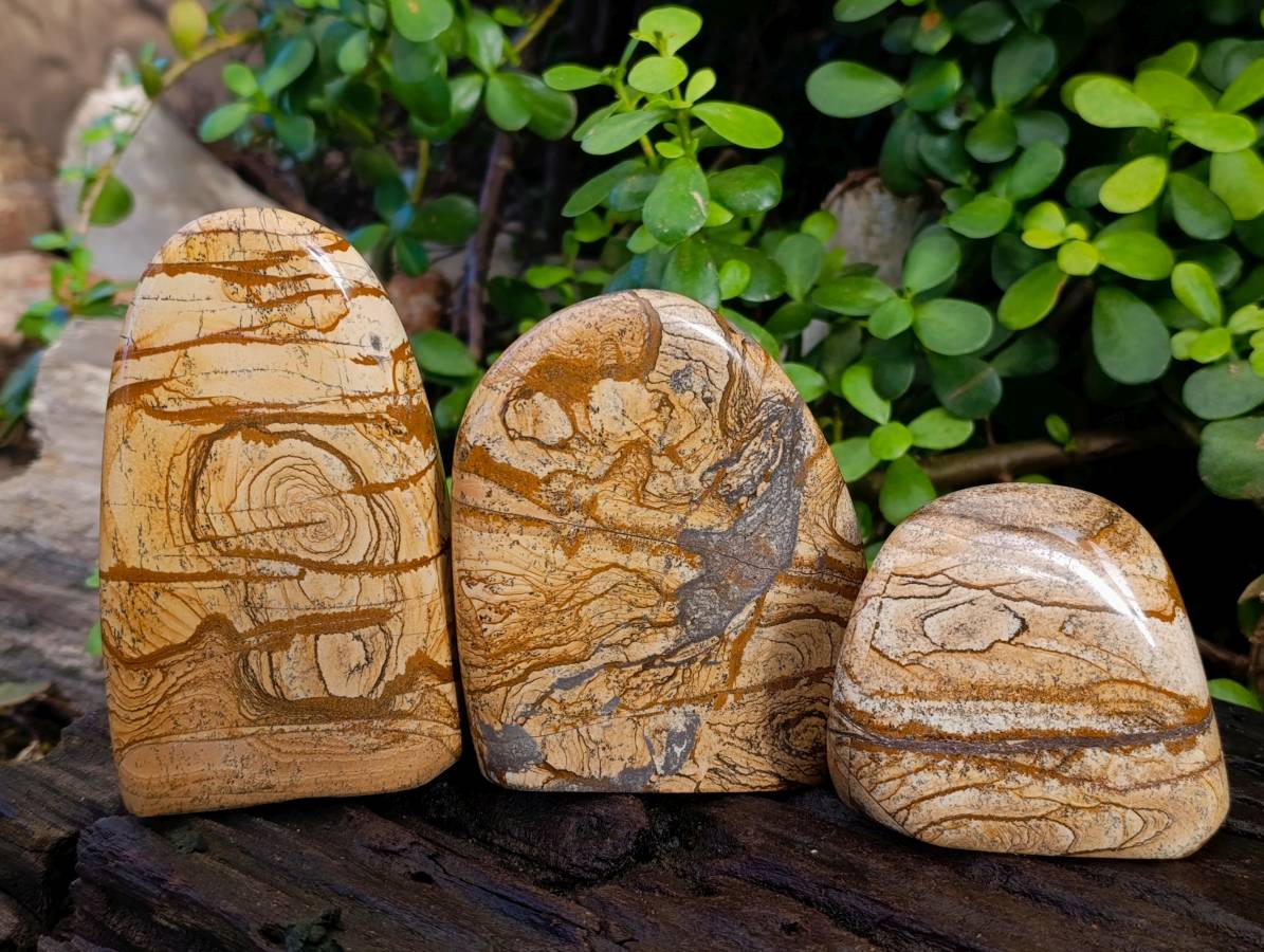 Polished Picture Stone Jasper Standing Free Forms x 3 From Northwest Coast, Madagascar - Toprock Gemstones and Minerals 