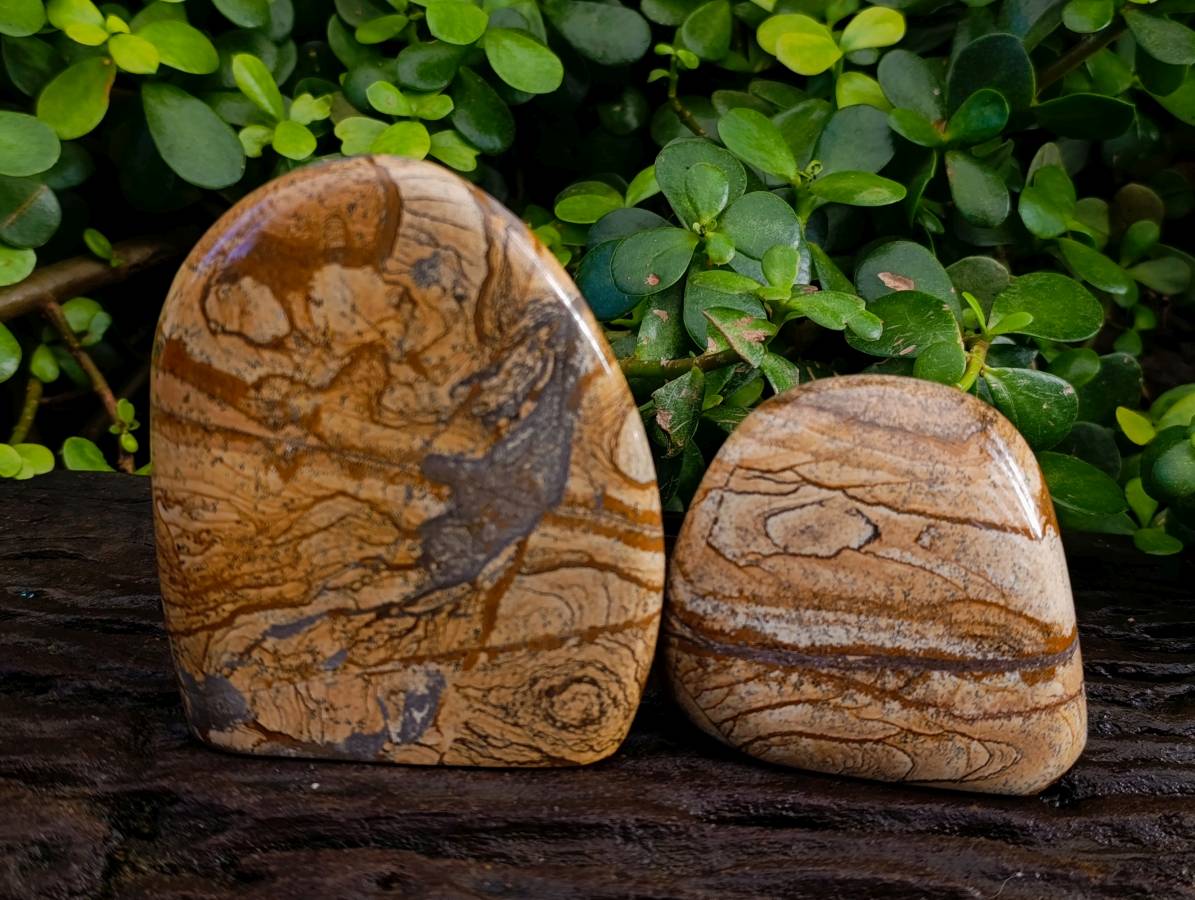 Polished Picture Stone Jasper Standing Free Forms x 3 From Northwest Coast, Madagascar - Toprock Gemstones and Minerals 