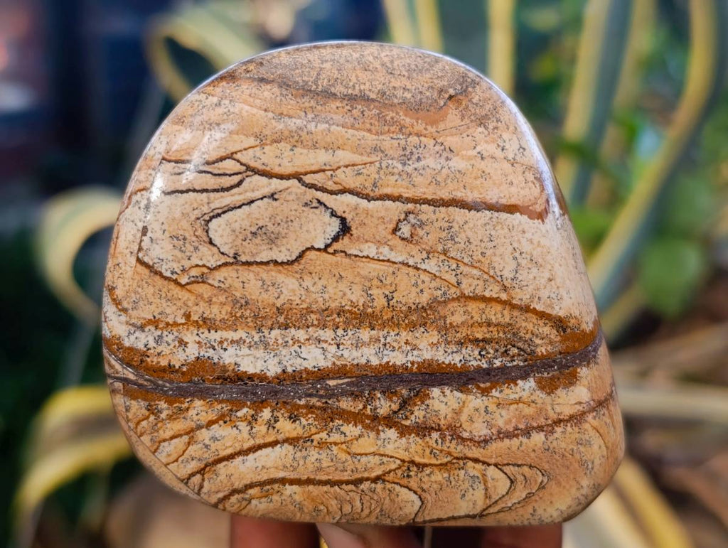 Polished Picture Stone Jasper Standing Free Forms x 3 From Northwest Coast, Madagascar - Toprock Gemstones and Minerals 