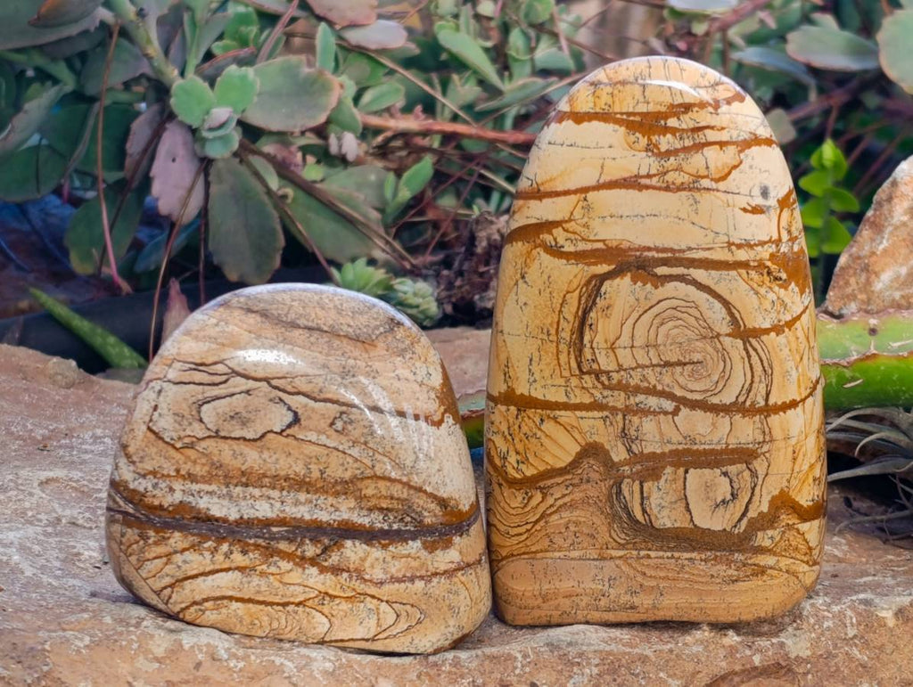 Polished Picture Stone Jasper Standing Free Forms x 3 From Northwest Coast, Madagascar - Toprock Gemstones and Minerals 