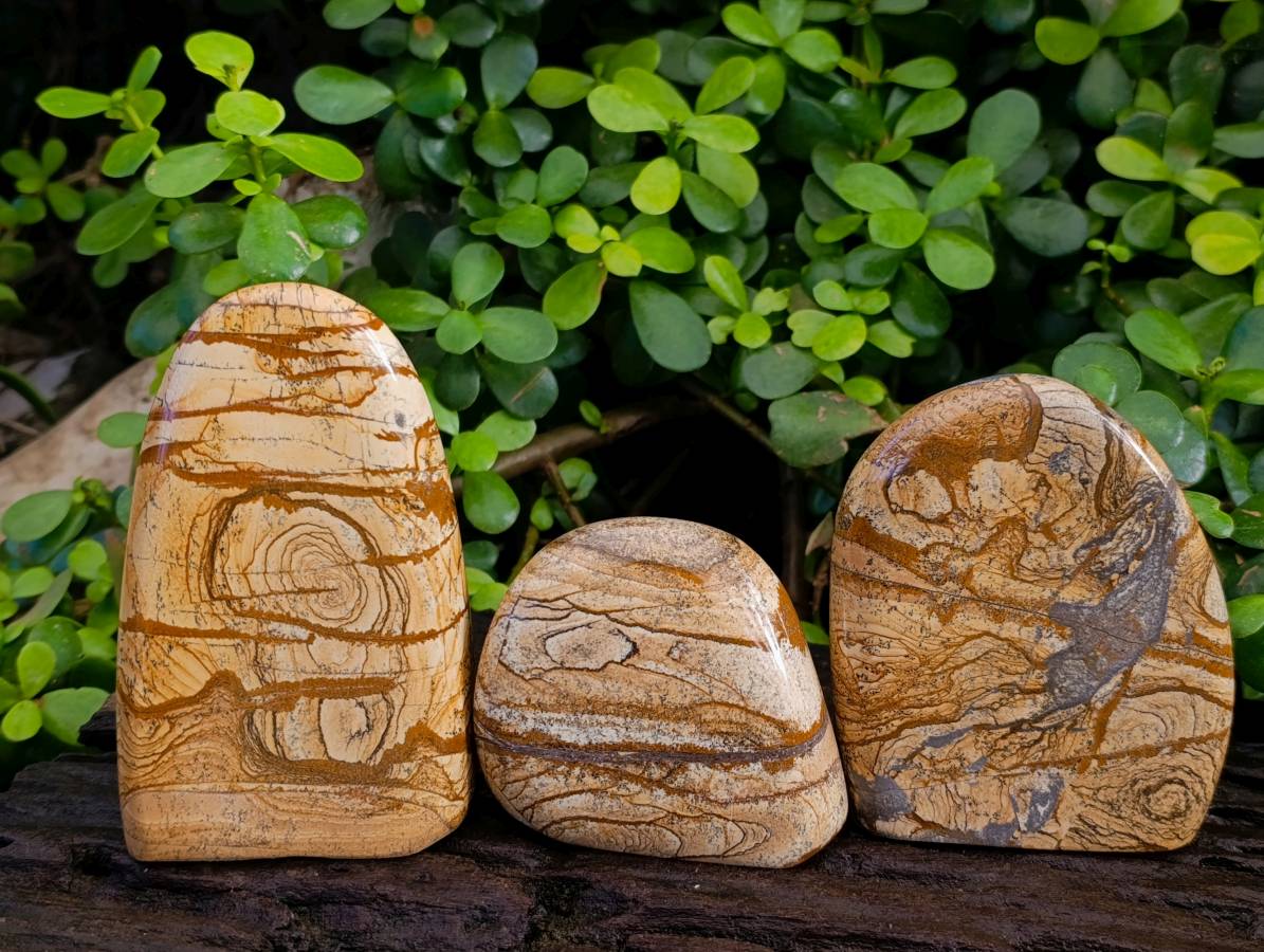 Polished Picture Stone Jasper Standing Free Forms x 3 From Northwest Coast, Madagascar - Toprock Gemstones and Minerals 