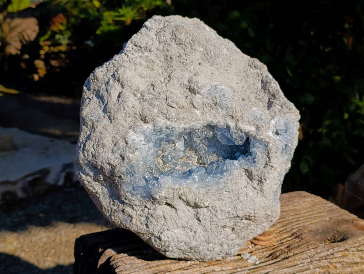 Natural Extra Large Celestite Geode Specimen x 1 From Sakoany, Madagascar - Toprock Gemstones and Minerals 