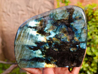 Polished Labradorite Standing Free Form x 1 From Tulear, Madagascar