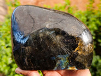 Polished Labradorite Standing Free Form x 1 From Tulear, Madagascar
