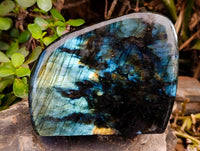 Polished Labradorite Standing Free Form x 1 From Tulear, Madagascar