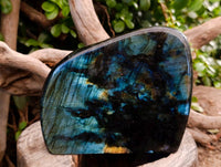 Polished Labradorite Standing Free Form x 1 From Tulear, Madagascar
