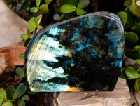 Polished Labradorite Standing Free Form x 1 From Tulear, Madagascar