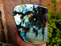 Polished Labradorite Standing Free Form x 1 From Tulear, Madagascar