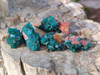 Natural Small Dioptase Clusters x 35 From Likasi, Congo
