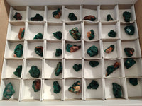 Natural Small Dioptase Clusters x 35 From Likasi, Congo