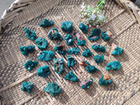Natural Small Dioptase Clusters x 35 From Likasi, Congo