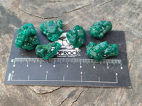 Natural Small Dioptase Clusters x 35 From Likasi, Congo
