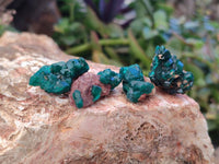 Natural Small Dioptase Clusters x 35 From Likasi, Congo