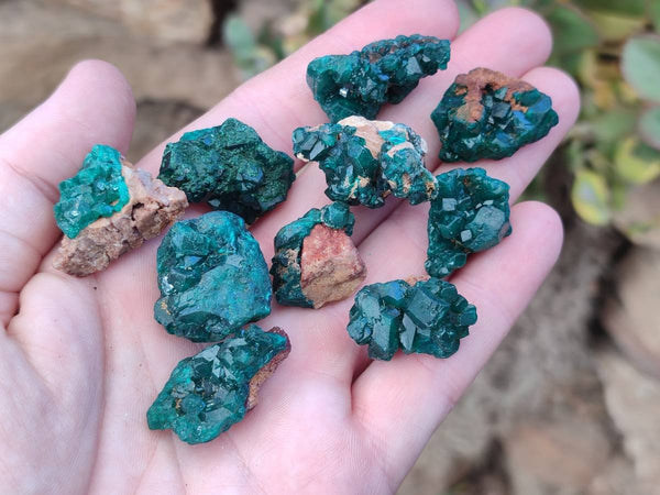Natural Small Dioptase Clusters x 35 From Likasi, Congo