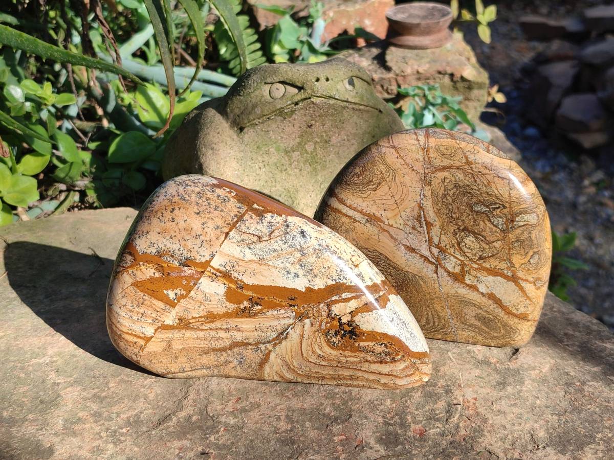 Polished Picture Stone Jasper Standing Free Forms x 2 From Ais-Ais, Namibia - Toprock Gemstones and Minerals 