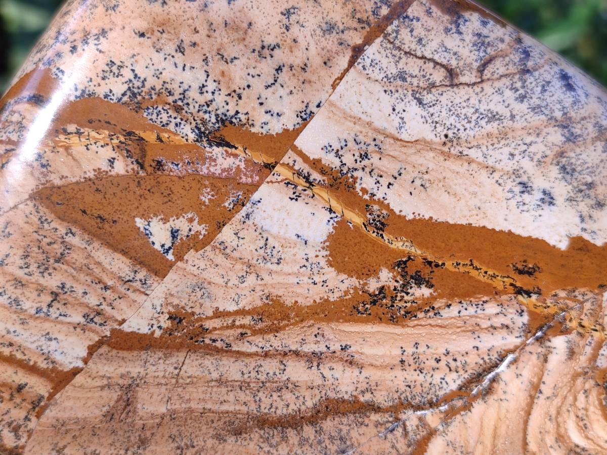 Polished Picture Stone Jasper Standing Free Forms x 2 From Ais-Ais, Namibia - Toprock Gemstones and Minerals 