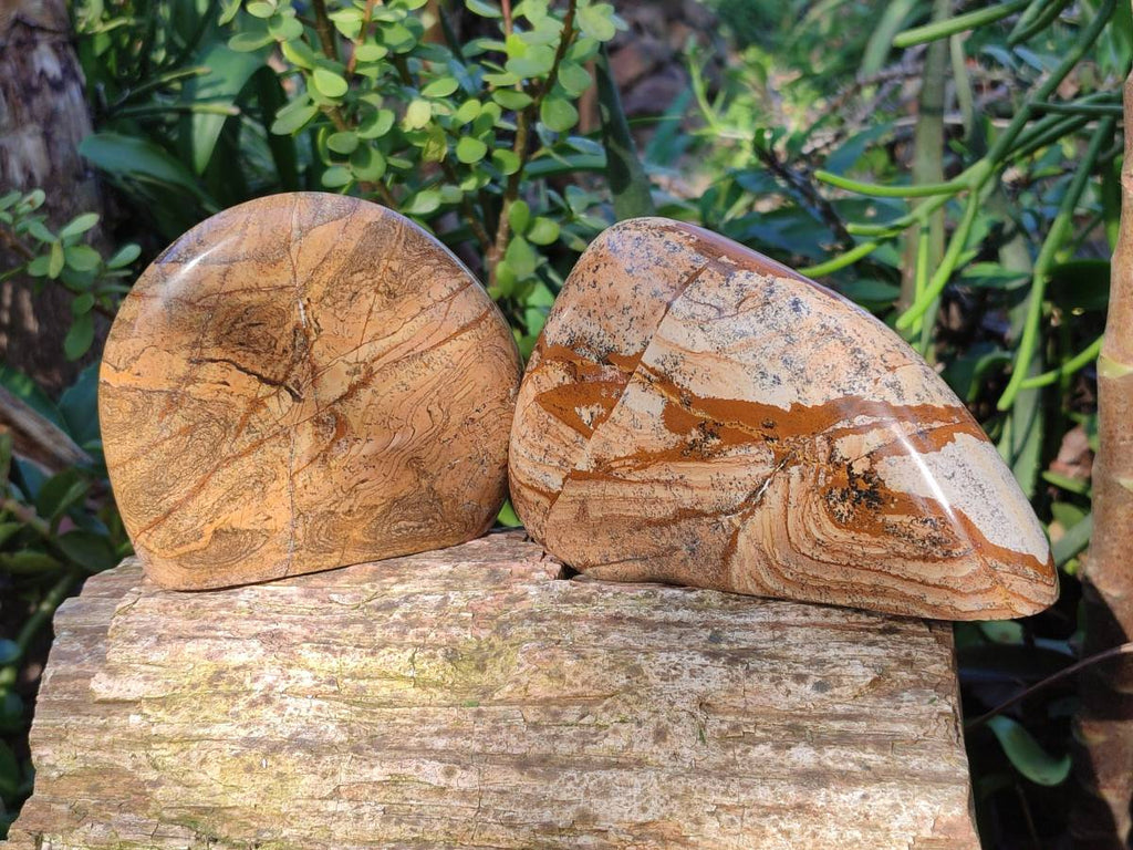 Polished Picture Stone Jasper Standing Free Forms x 2 From Ais-Ais, Namibia - Toprock Gemstones and Minerals 
