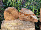 Polished Picture Stone Jasper Standing Free Forms x 2 From Ais-Ais, Namibia - Toprock Gemstones and Minerals 