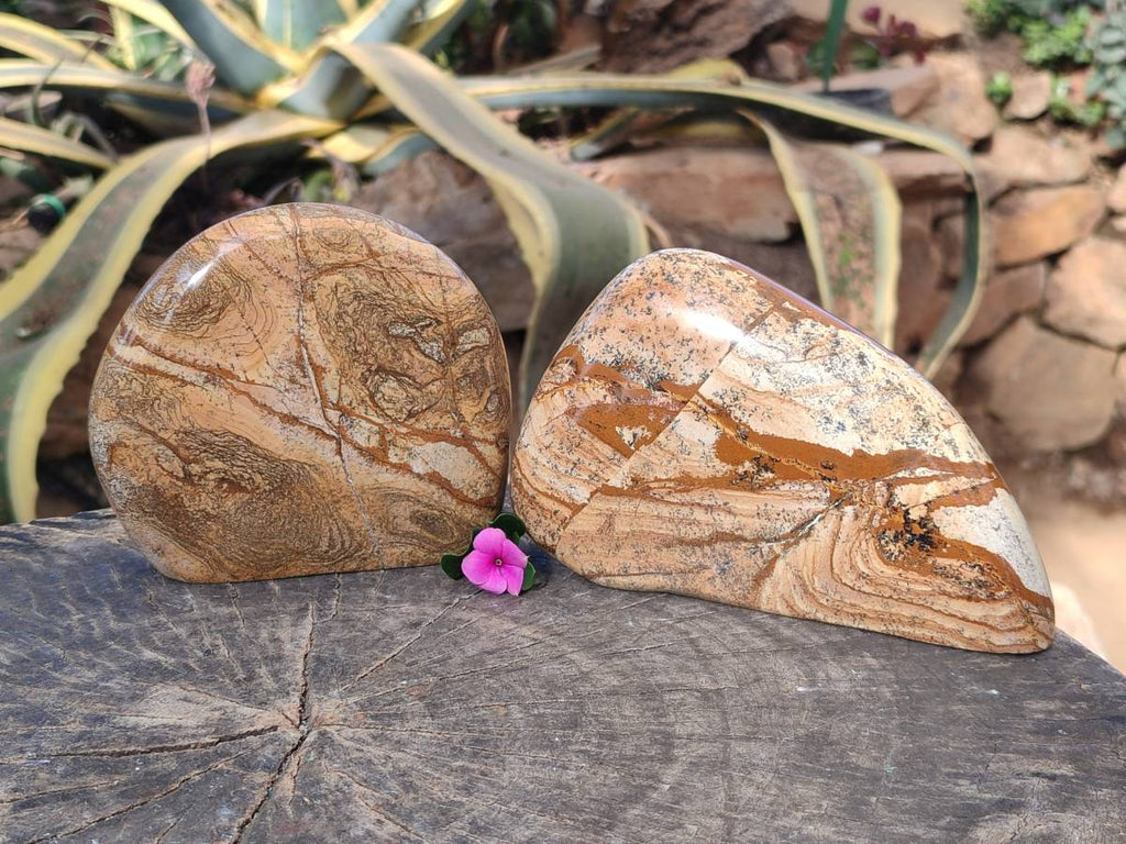 Polished Picture Stone Jasper Standing Free Forms x 2 From Ais-Ais, Namibia - Toprock Gemstones and Minerals 