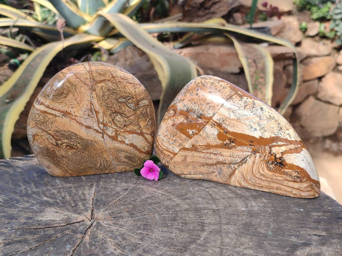 Polished Picture Stone Jasper Standing Free Forms x 2 From Ais-Ais, Namibia - Toprock Gemstones and Minerals 