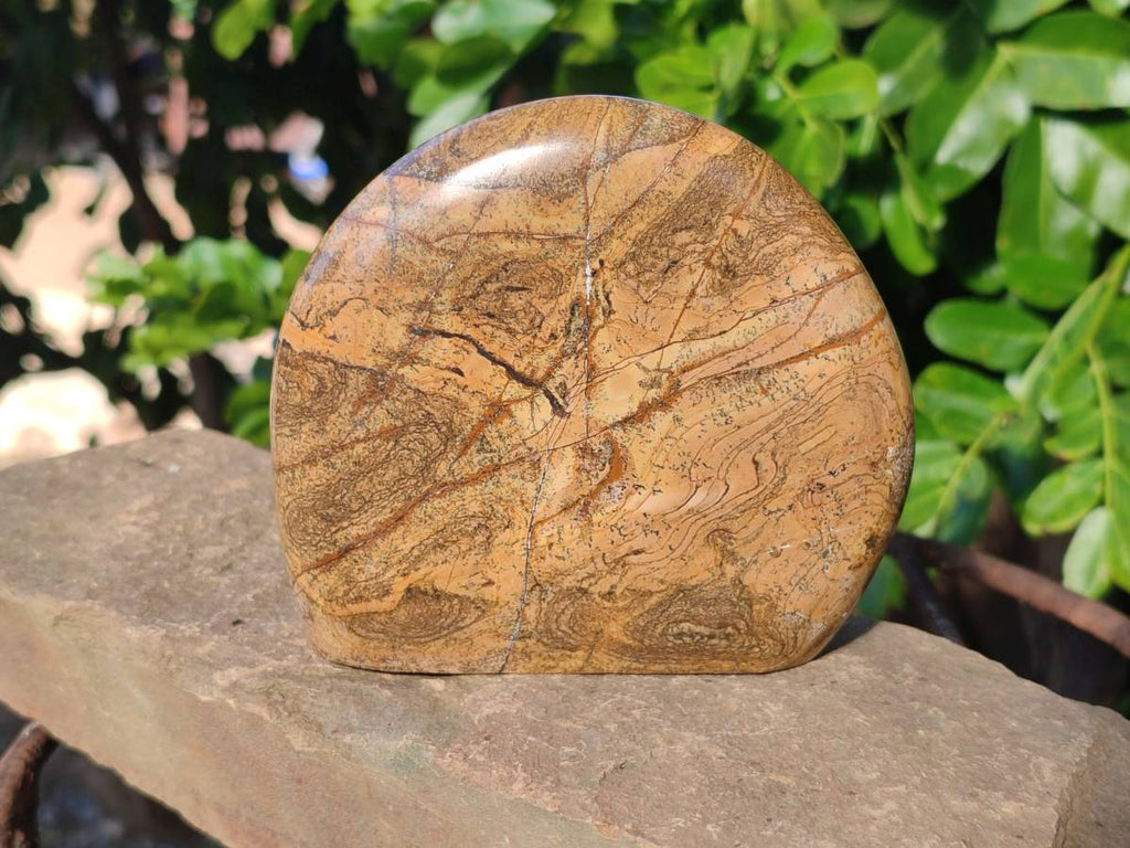 Polished Picture Stone Jasper Standing Free Forms x 2 From Ais-Ais, Namibia - Toprock Gemstones and Minerals 