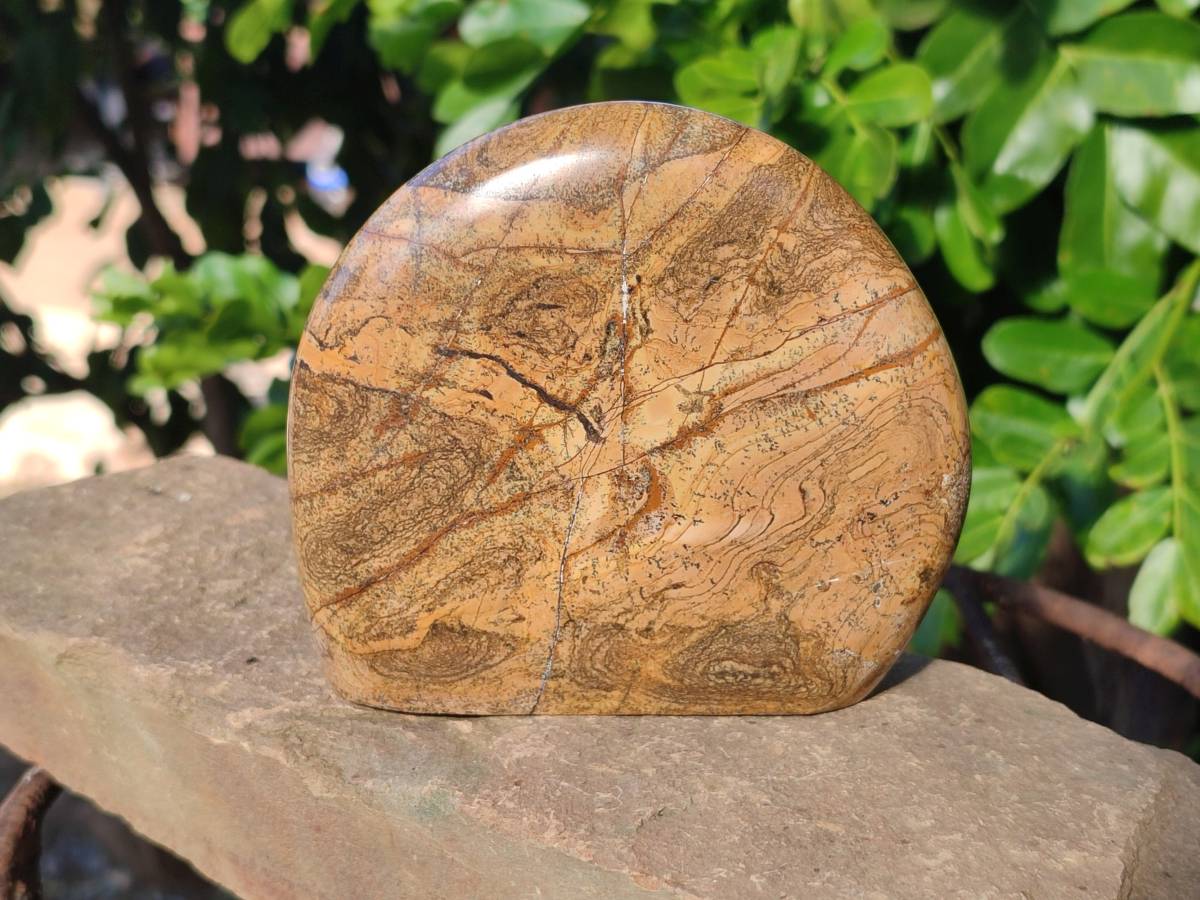 Polished Picture Stone Jasper Standing Free Forms x 2 From Ais-Ais, Namibia - Toprock Gemstones and Minerals 