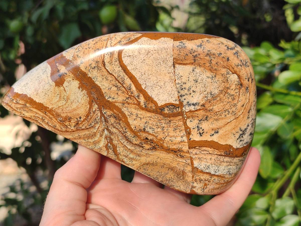 Polished Picture Stone Jasper Standing Free Forms x 2 From Ais-Ais, Namibia - Toprock Gemstones and Minerals 