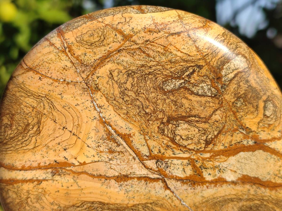 Polished Picture Stone Jasper Standing Free Forms x 2 From Ais-Ais, Namibia - Toprock Gemstones and Minerals 